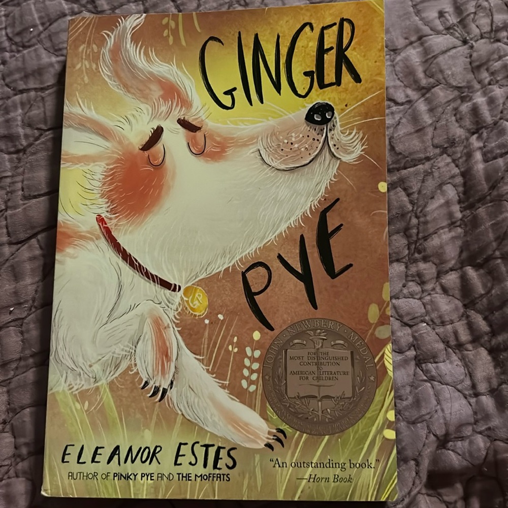 Ginger Pye